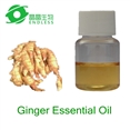 Ginger essential oil