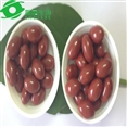 food supplement kosher multivitamin capsules