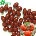 lycopene antioxidant capsules