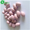 Top quality Well Development softgel capsule