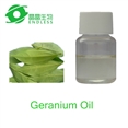 Geranium Oil