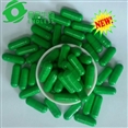 l-carnitine and green tea capsule