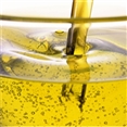 Black Currant Oil
